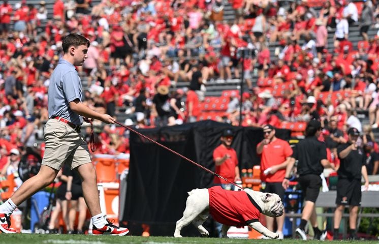 Georgia vs. Ball State