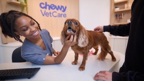 Chewy, which made its name as an online retailer of pet food and pet products, has opened two in-person vet centers in metro Atlanta. Here in the Dunwoody location, a three-way interaction -- a customer, a pet and the client concierge.