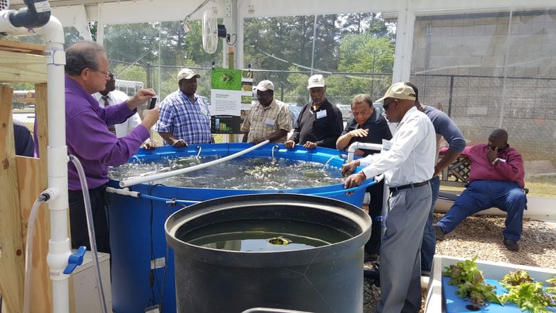 In this undated photo, Ambassador Andrew Young meets with aquaponics farmers. He has studied the science for years and plans on opening a facility in Clayton County. (Courtesy photo)