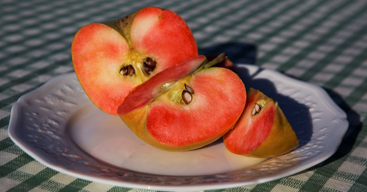 Honeycrisp Apple - J. Frank Schmidt & Son Co.