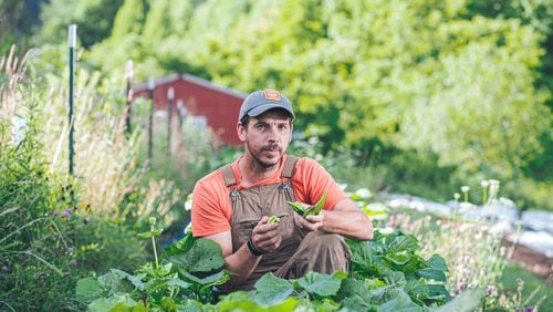 Chris Smith, founder of the Utopian Seed Project, crouches amid a row of okra plants at his farm in Leicester, North Carolina. (Grace Dickinson for The Atlanta Journal-Constitution)