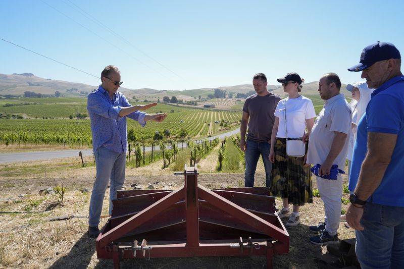 Ivo Jeramaz, left, talks to Ukrainian winemakers during a tour of a Grgich Hills Estate's vineyard Wednesday, June 5, 2024, in American Canyon, Calif. (AP Photo/Godofredo A. Vásquez)