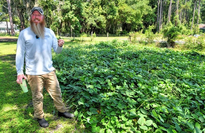 Potlikker Farm manager Sam McPherson shows his planted patch of pea plants that later will be plowed under as a cover crop to enrich the soil. Chris Hunt for The Atlanta Journal-Constitution 