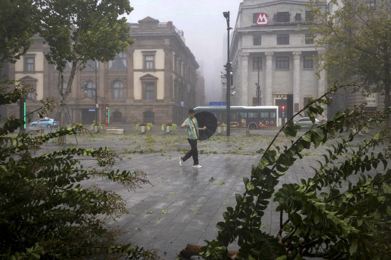 In this photo released by Xinhua News Agency, a man takes photos of the fallen tree at the Bund in the aftermath of Typhoon Bebinca in Shanghai, China, Monday, Sept. 16, 2024. (Wang Xiang/Xinhua via AP)