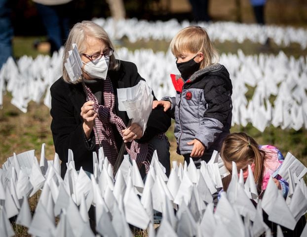 Decatur volunteers planting 15,000 (or 16,000)