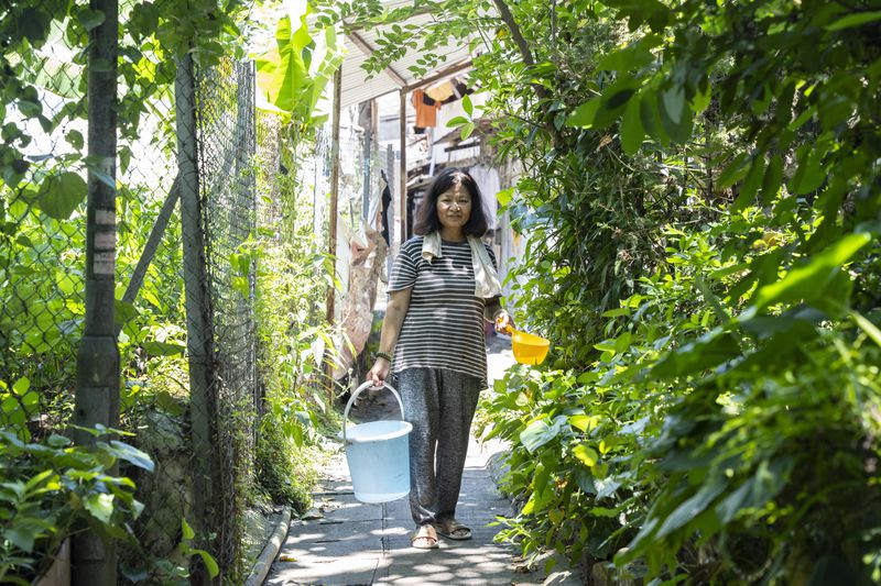 Villager Chan Shun-hong poses for a photo as she tends to her vegetables at the Cha Kwo Ling Village in Hong Kong, Sunday, Aug. 25, 2024. (AP Photo/Chan Long Hei)