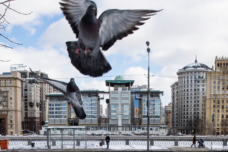 FILE - Birds fly with the British Embassy building at center in the background in Moscow, Russia, Friday, March 16, 2018. (AP Photo/Pavel Golovkin, File)