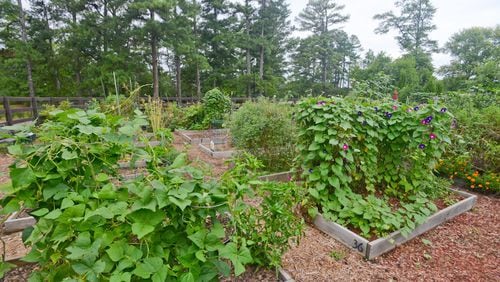 Johns Creek gardeners can begin reserving plots in the Community Garden at Newtown Park beginning Feb. 15. (Courtesy City of Johns Creek)