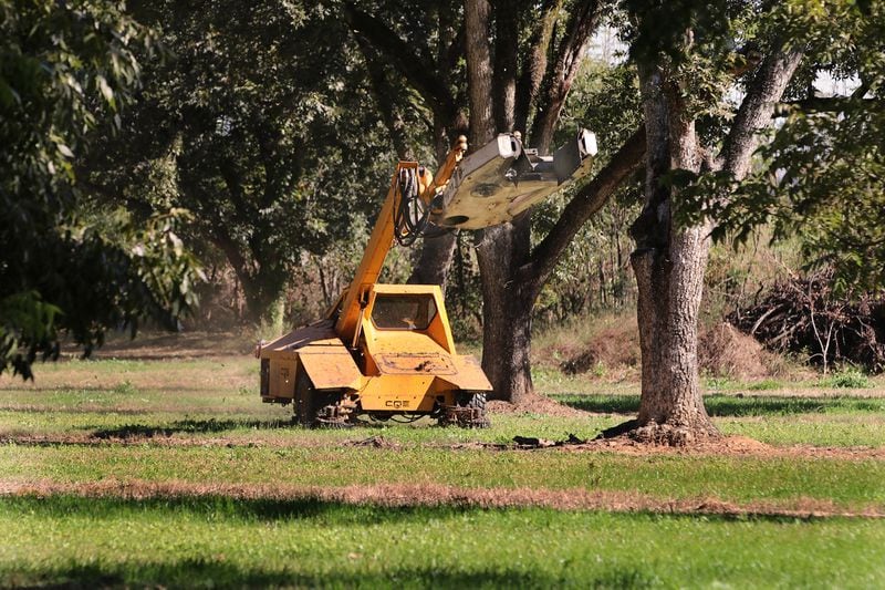 The pecan shaker maneuvers in place at the next tree.
Eric Dusenbery for The Atlanta Journal-Constitution