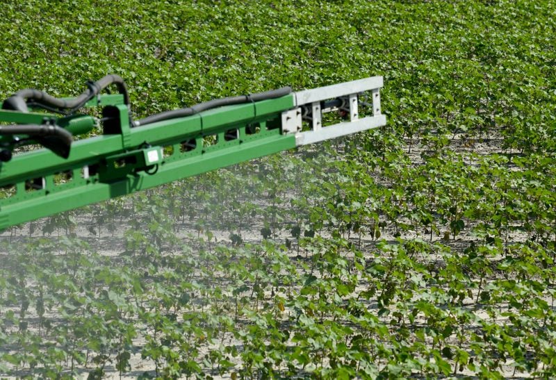 Taylor Buckner, operates a John Deere Sprayer to spray weed control on one of cotton fields at Davis Family Farms, Wednesday, June 28, 2023, in Doerun, GA. Cotton plants on this field were mature, so didn’t get much damaged by recent hailstorms and high winds. Bart Davis has around 7,500 acres of land across Southwest Georgia in Colquitt, Mitchell, Worth, and Dougherty counties — and every acre of cotton was hit by the storms. Hail the size of golf and tennis balls, some even larger, slammed his crops, Davis said. Damage ranged from moderate to severe, he said. (Hyosub Shin / Hyosub.Shin@ajc.com)