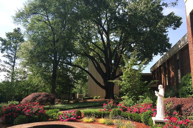 The garden at Our Lady of Perpetual Help Cancer Home features the largest measured tree in Atlanta.