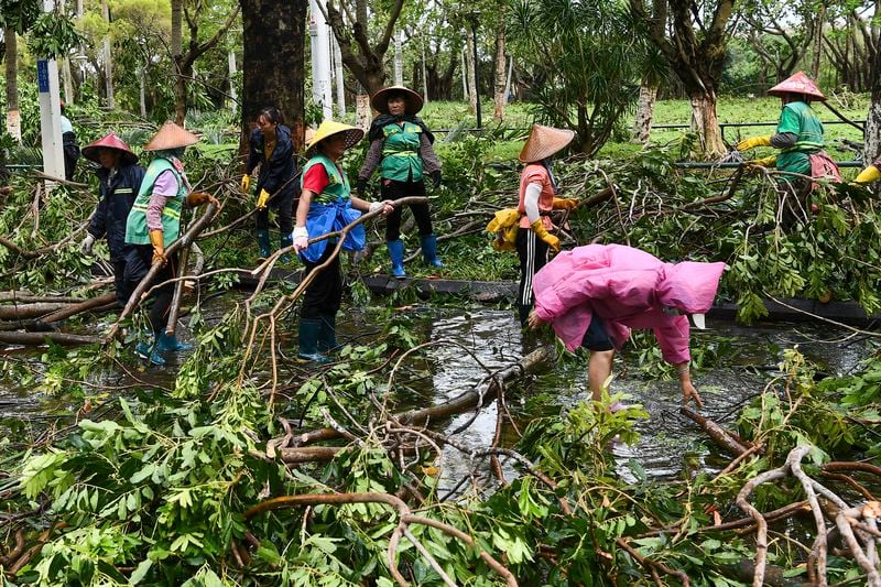 In this photo released by Xinhua News Agency, workers remove fallen tree branches along a street in the aftermath of Typhoon Yagi in Haikou, south China's Hainan Province, Saturday, Sept. 7, 2024. (Yang Guanyu/Xinhua via AP)