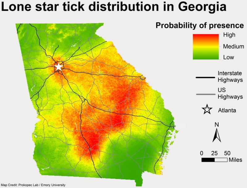 Emory researchers sampled sites across the state and developed maps showing where lonestar ticks are likely to be. The previous data was limited to the county level. (Prokopec Lab/Emory University)