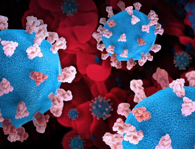 A file photo of coronavirus models seen with a colorized image of a scanning electron micrograph of a cell (red) infected with the omicron strain of the virus (blue).  (National Institute of Allergy and Infectious Diseases/TNS)