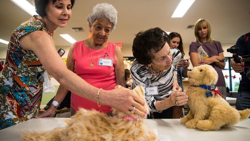 food toys Archives  Dog Dementia Help and Support