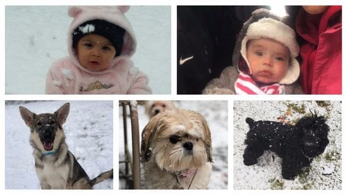 These dogs and babies all saw snow for the first time on Friday, Dec. 8, 2017.