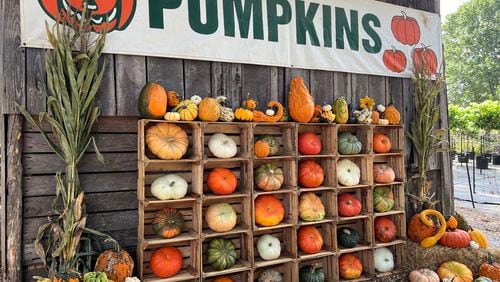 Truth in advertising: Yes, they've got pumpkins aplenty, as the sign proclaims, at Scottsdale Farms in Milton. Courtesy of Scottsdale Farms