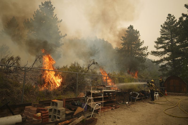 A firefighter douses flames in the perimeter of a property while battling the Bridge Fire Wednesday, Sept. 11, 2024, in Wrightwood, Calif. (AP Photo/Eric Thayer)