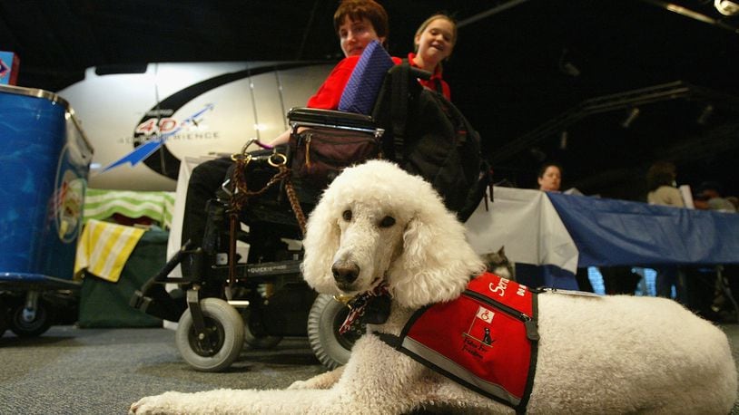 can therapy dogs go into stores