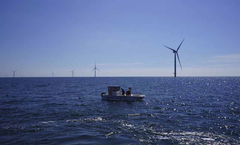 Workers aboard a small boat check lines of seaweed and mussels crops at Kriegers Flak offshore wind farm, about 15 kilometers off the Danish coast, Baltic Sea, Denmark, Tuesday June 18, 2024. (AP Photo/James Brooks)