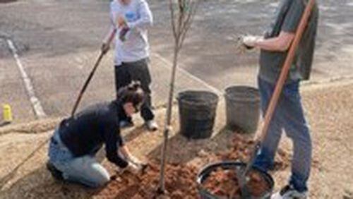 Volunteers are invited to plant 150 trees on March 11 or 25 along public rights-of-way for DeKalb County and Trees Atlanta. (Courtesy of DeKalb County)