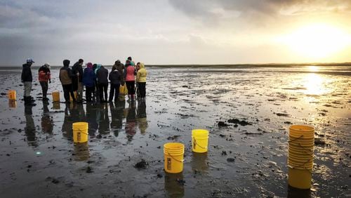 This May 19, 2018 photo provided by William & Mary shows undergraduates enrolled in William & Mary’s field course marine science minor exploring a mudflat at low tide on Virginia’s Eastern Shore. The university announced Wednesday July 24, 2024, that it’s expanding a new major in marine science, hiring more faculty and deepening research into coastal resilience with a $100 million gift from philanthropist Jane Batten. (William & Mary via AP)