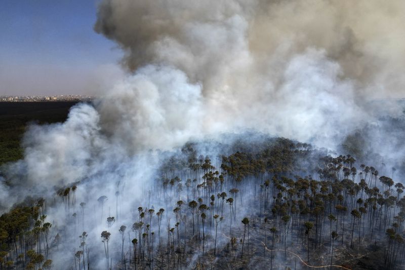 Smoke rises as fires spread through the Brasilia National Forest, Brazil, in the middle of the dry season, Tuesday, Sept. 3, 2024. (AP Photo/Eraldo Peres)