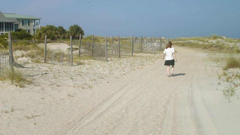 are dog allowed on beaches tybee island