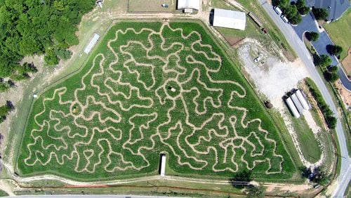 Ariel shot of the Buford Corn Maze from a previous year.