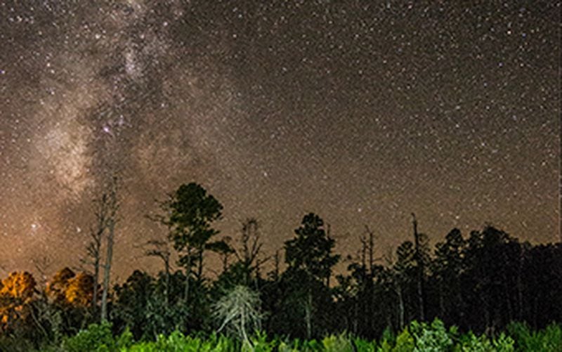 See the eerie, inspiring night sky on a ranger-led night paddle at Stephen C. Foster State Park.