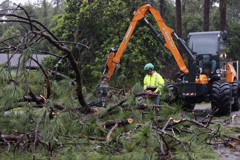 Cleanup crews work to clear storm debris, including pine trees, in a neighborhood in Valdosta.