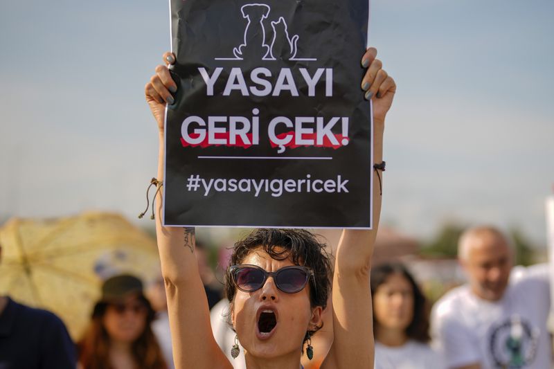 An animal rights activist shouts slogans during a rally to protest against a bill approved by Turkish legislators that aims to remove stray dogs off the country's streets, in Istanbul, Turkey, Sunday, Sept. 1, 2024. The board reads in Turkish: "Withdraw the law". (AP Photo/Emrah Gurel)