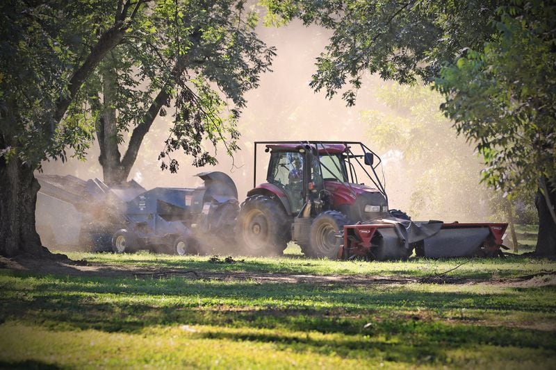 Dirt is blown from the harvester collecting pecans. (Eric Dusenbery for The Atlanta Journal-Constitution)