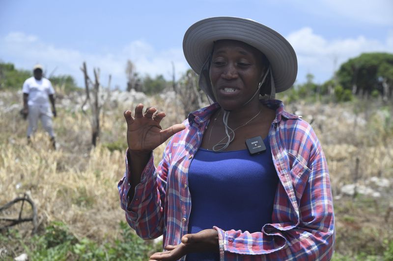 Kyacian Reid gestures while speaking at her farm in Marlie Hill, Jamaica, on Thursday, Aug. 22, 2024. (AP Photo/Collin Reid)