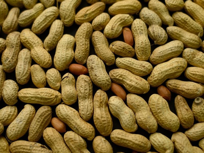 Dothan, Alabama, celebrates the peanut with a state fair-style festival.