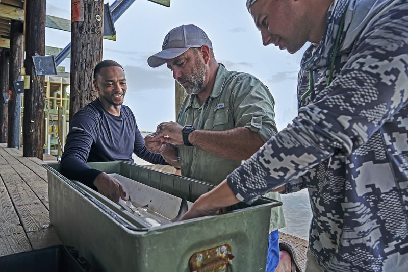 This image released by National Geographic shows actor/host Anthony Mackie, left, with scientists Dr. Marcus Drymon, center, and PhD researcher Christian Walker as they tag a baby Bull Shark caught in Lake Pontchartrain in Louisiana during the filming of "Shark Beach with Anthony Mackie." (Brian Roedel/National Geographic via AP)