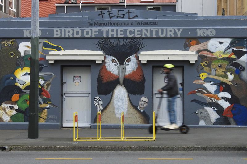 A man rides past a mural celebrating John Oliver's New Zealand's 2023 Bird of the Year campaign in Wellington, New Zealand, Sunday, Sept. 15, 2024. (AP Photo/Charlotte GrahamMcLay)