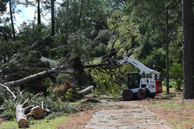 A man was killed when multiple trees fell on his home in Dublin.