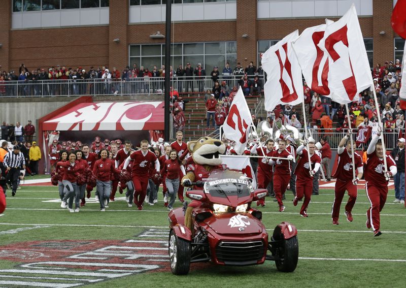 FILE - Butch, the Washington State mascot leads cheerleaders and players onto the field before an NCAA college football game against Washington, Nov. 25, 2016, in Pullman, Wash. (AP Photo/Ted S. Warren, File)