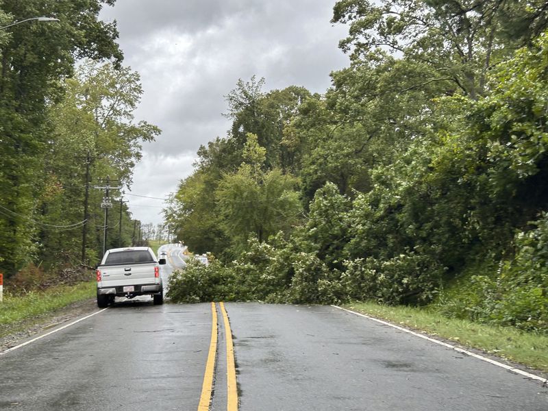 Downed tree blocks Mt. Holly Rd, after Hurricane Helen passed the area Friday, Sept. 27, 2024 in Charlotte, N.C. (Melissa Melvin-Rodriguez/The Charlotte Observer via AP)