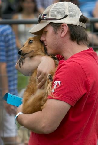 Buda Wiener Dog Race, 4.26.15