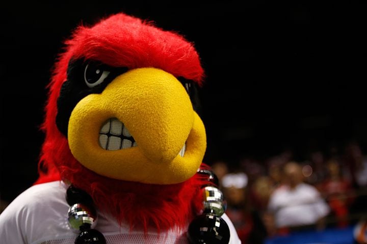 College football mascots: The birds