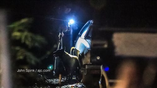 An Atlanta police K-9 officer searches a car in southwest Atlanta Tuesday morning during a manhunt for a shooter who fired at officers in an unmarked patrol car.  The shooting was one of several Atlanta police were investigating overnight.