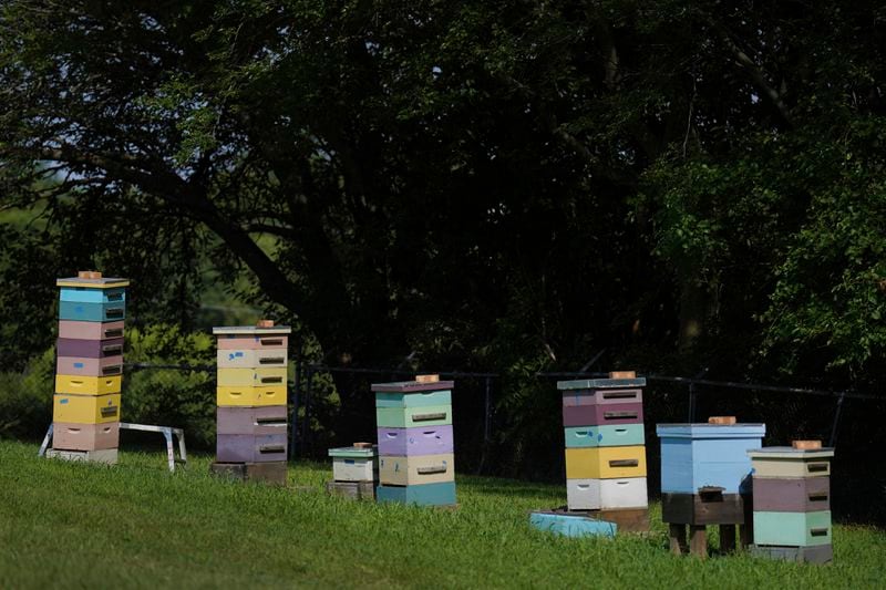 Beehives at the Mount St. Scholastica Benedictine sisters' monastery in Atchison, Kan., Wednesday, July 17, 2024. Over the years the sisters have tried to implement more sustainable practices at the monastery, such as solar energy and beekeeping. (AP Photo/Jessie Wardarski)