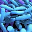 CDC identifies 2 deadly superbugs