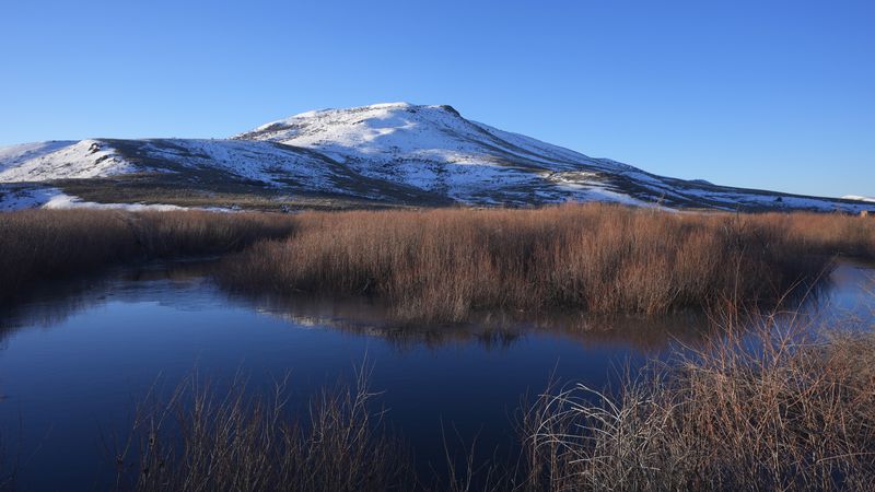 The Duck Valley Indian Reservation that straddles the Nevada-Idaho border is shown on March 15, 2024, in Owyhee, Nev. (AP Photo/Rick Bowmer)