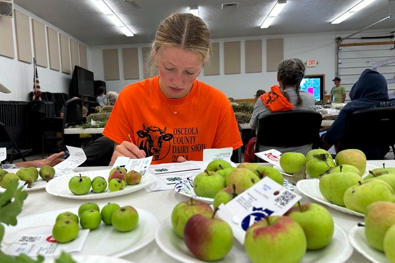 Osceola County 4-H member Alison Smith takes a written test inside an exhibition hall at the county fairgrounds in Evart, Mich. (AP Photo/Mike Householder)