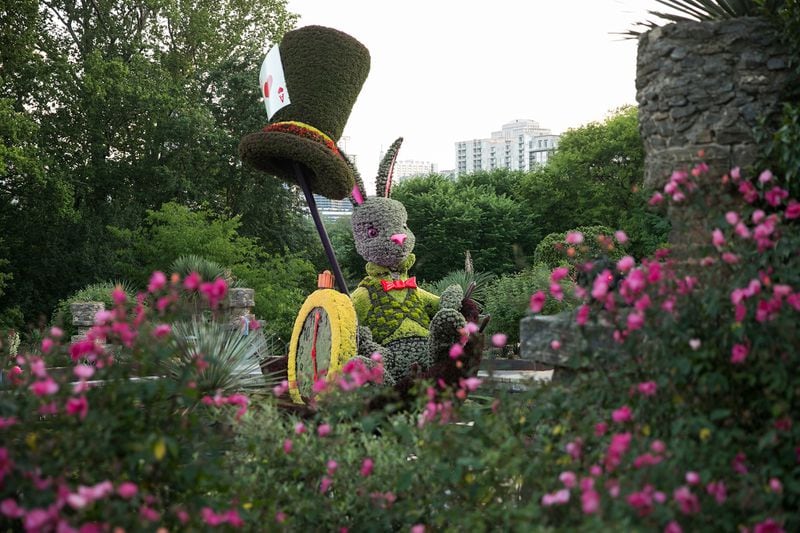 May 7, 2019 - Atlanta, Ga: Imaginary World Returns Alice's Wonderland at the Atlanta Botanical Garden Tuesday, May 7, 2019, in Atlanta.  (Photo by JASON GETZ/ Atlanta Botanical Garden)