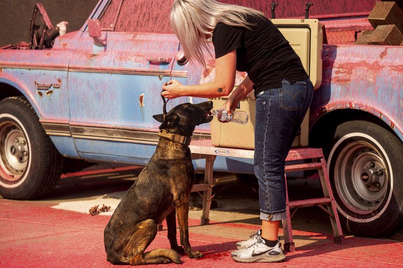 Cindy Miller gives a dog water outside her home as the Grubbs Fire burns in the Palermo community of Butte County, Calif., on Wednesday, July 3, 2024. Firefighters stopped the fire at around 10 acres. (AP Photo/Noah Berger)