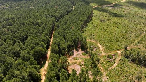 An aerial photograph shows Oaky Woods Wildlife Management Area (left) and proposed property where a solar farm was planned (right), on Tuesday, August 26, 2024, in Kathleen. (Hyosub Shin/AJC)